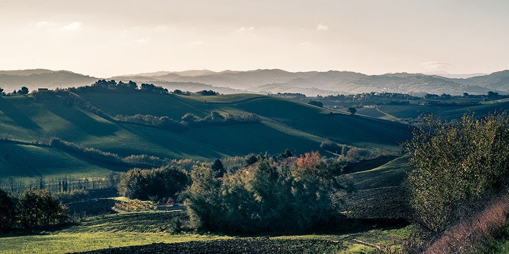 food valley d'Europa